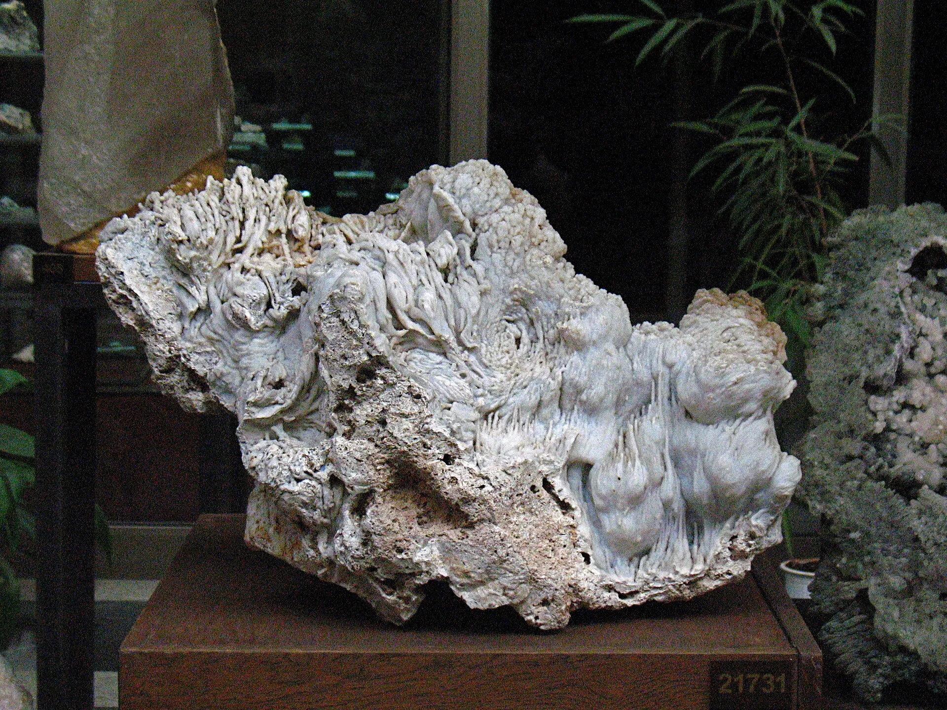 Quartz (Chalcedony) in the National Museum "The Earth and Man", Sofia