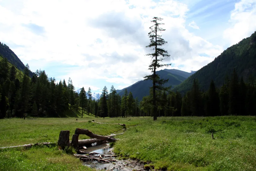 Altay mountains (steppe, forest-steppe), Photo by Vít Hněvkovský, 2006 Altaj (step a lesostep)