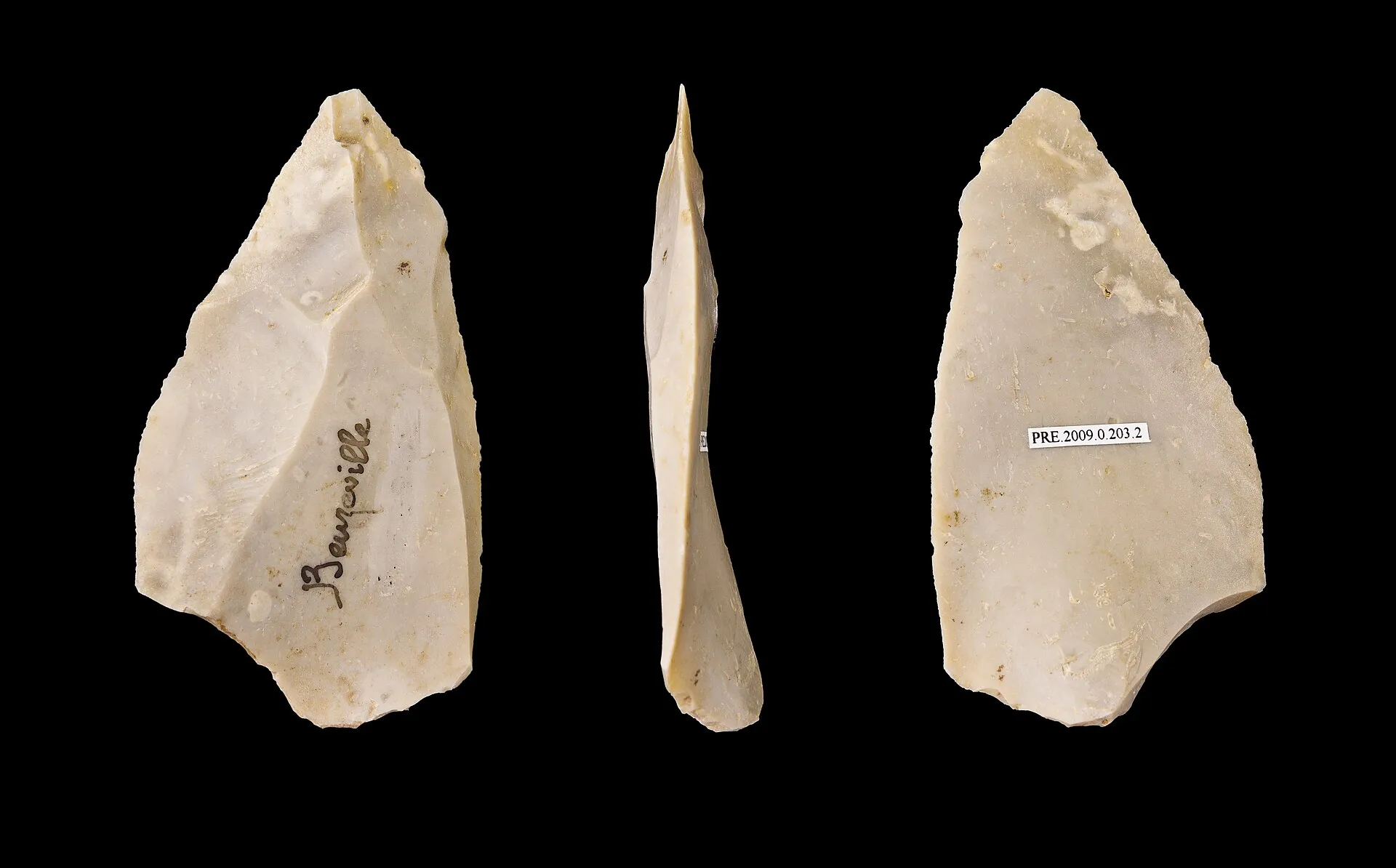 Different views of the same specimen translate.