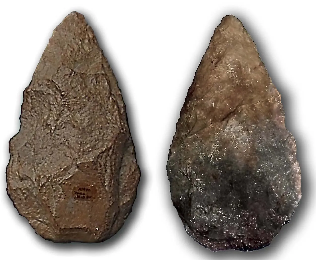 Handaxe in quartzite, its comes from the bed TG-10 of « Galería» in Atapuerca (Burgos, Spain) and it is dated circa 350,000 years