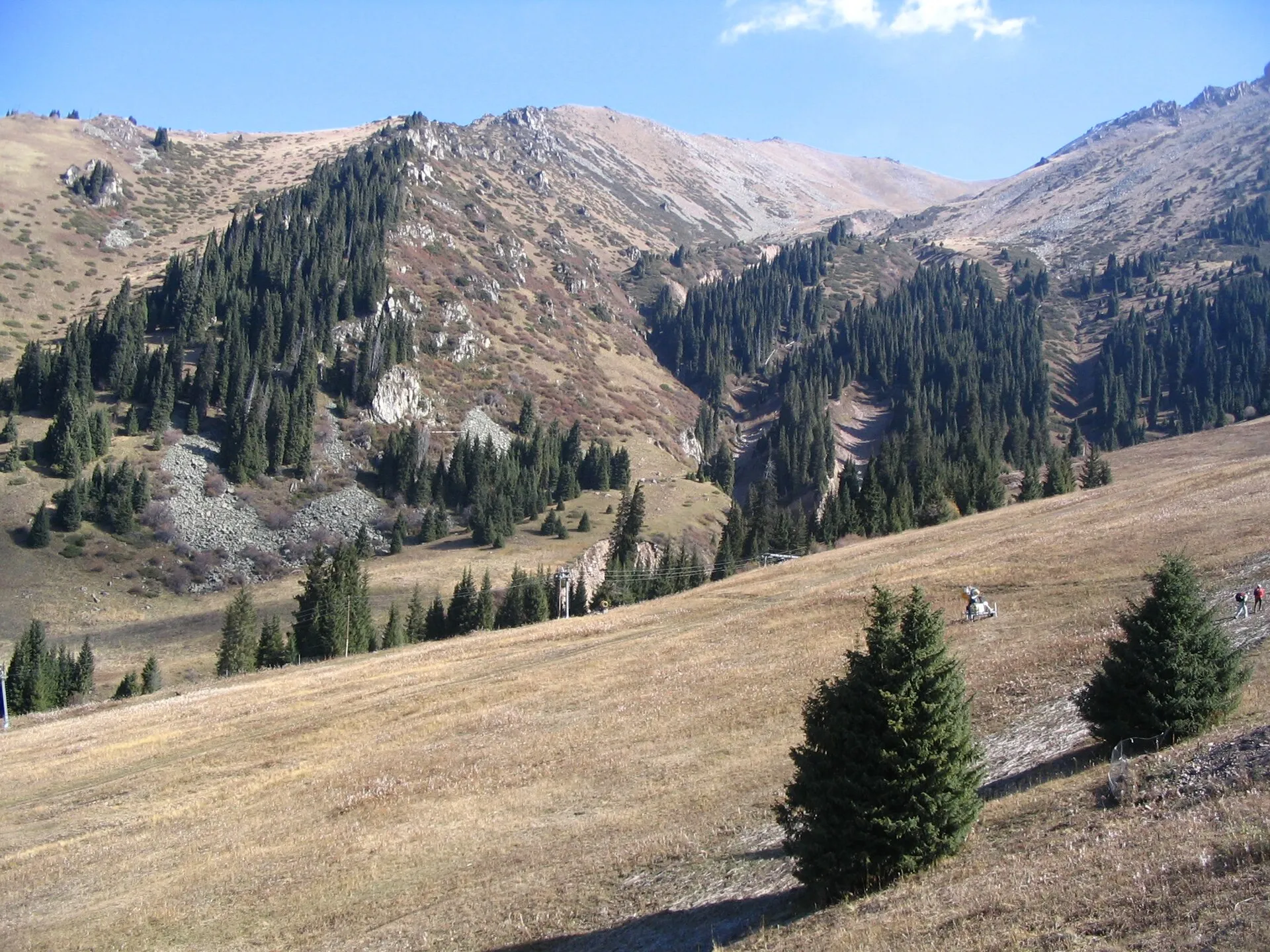 Chimbulak - Kazakhstan - altitude 2600 m - en automne - piste de ski et épicéas de Schrenk.