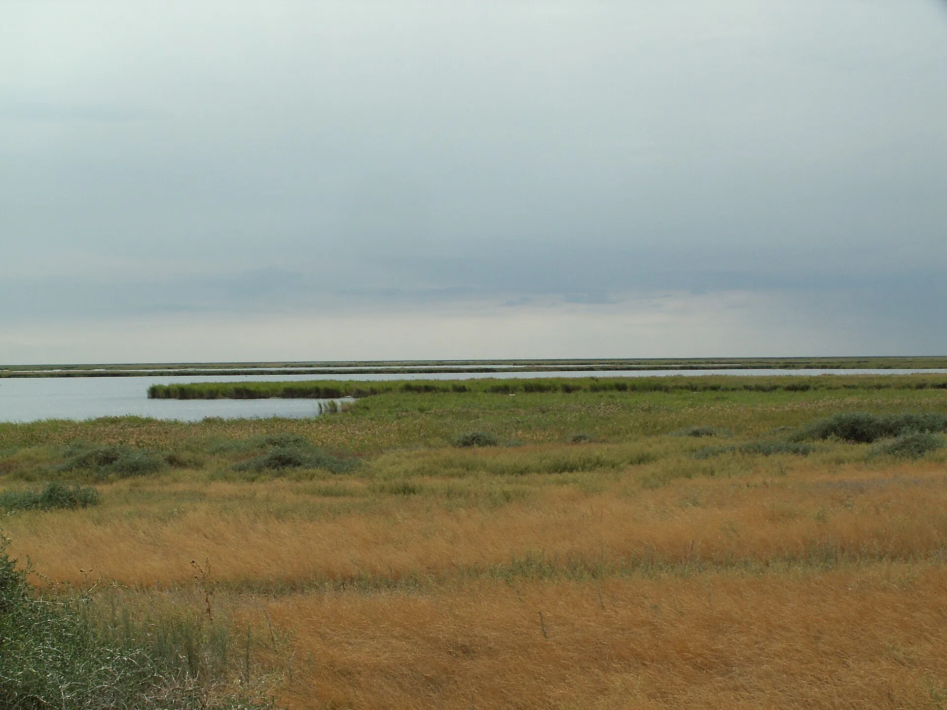 Korgalzhinskiy Nature Reserve